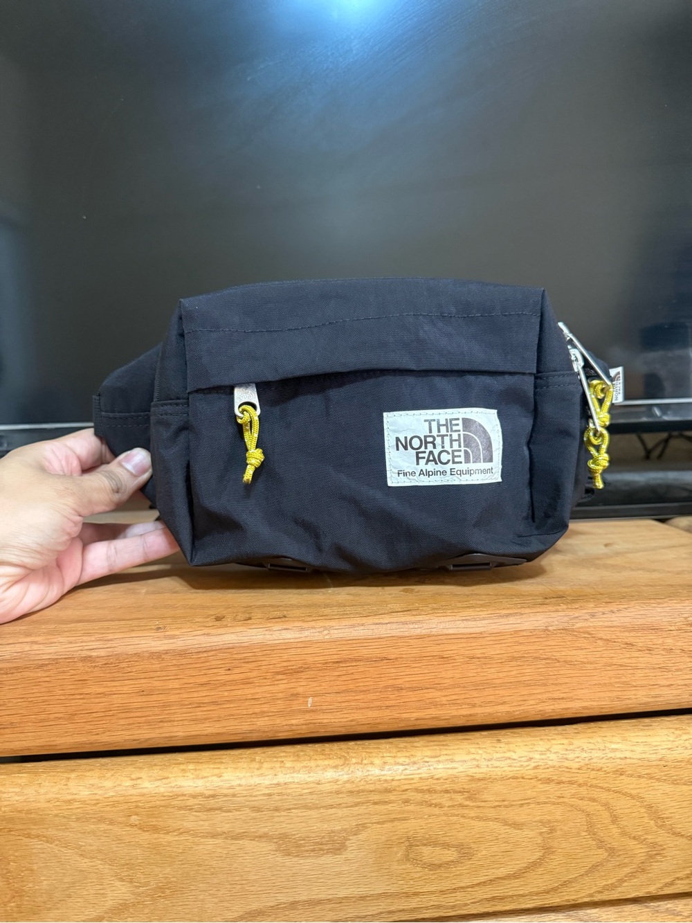 The North Face waist/ Fanny pack bag